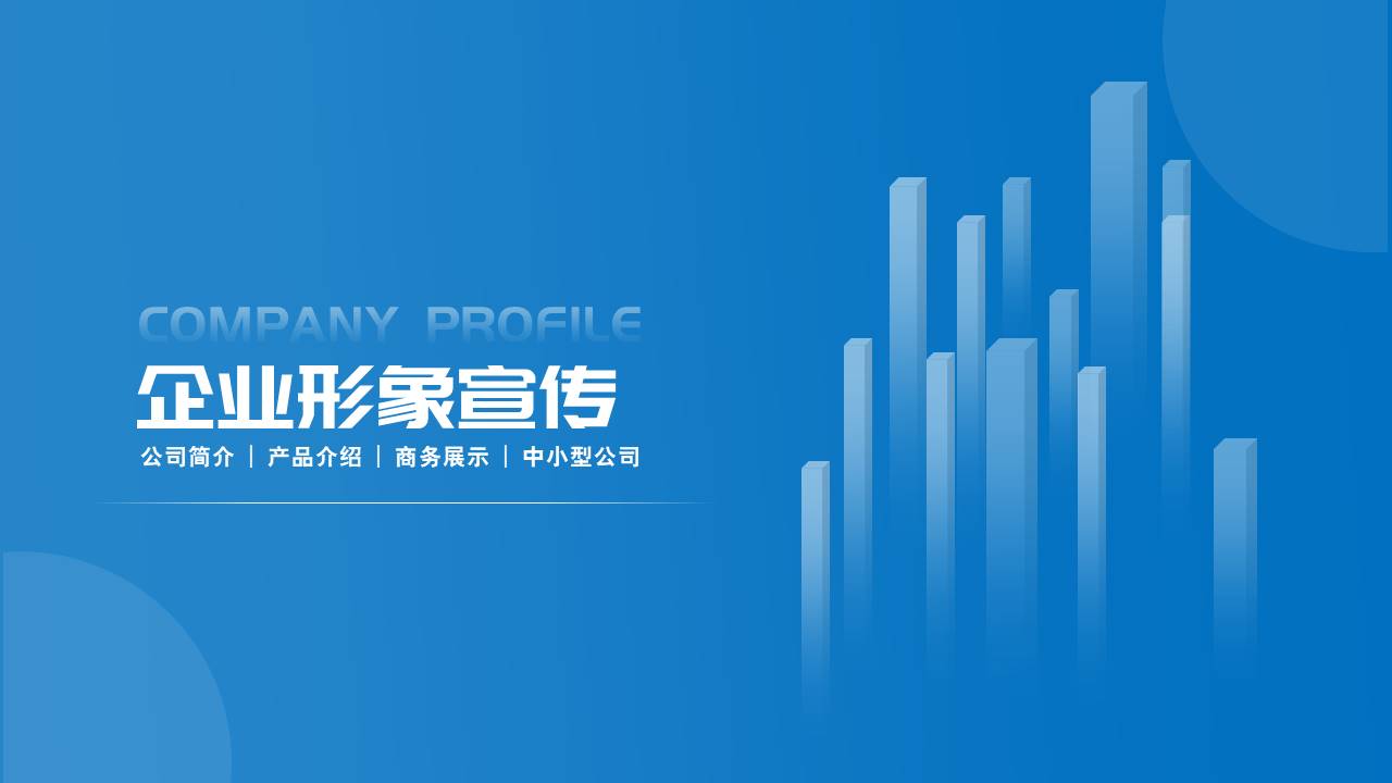 公司介绍 (32).pptx